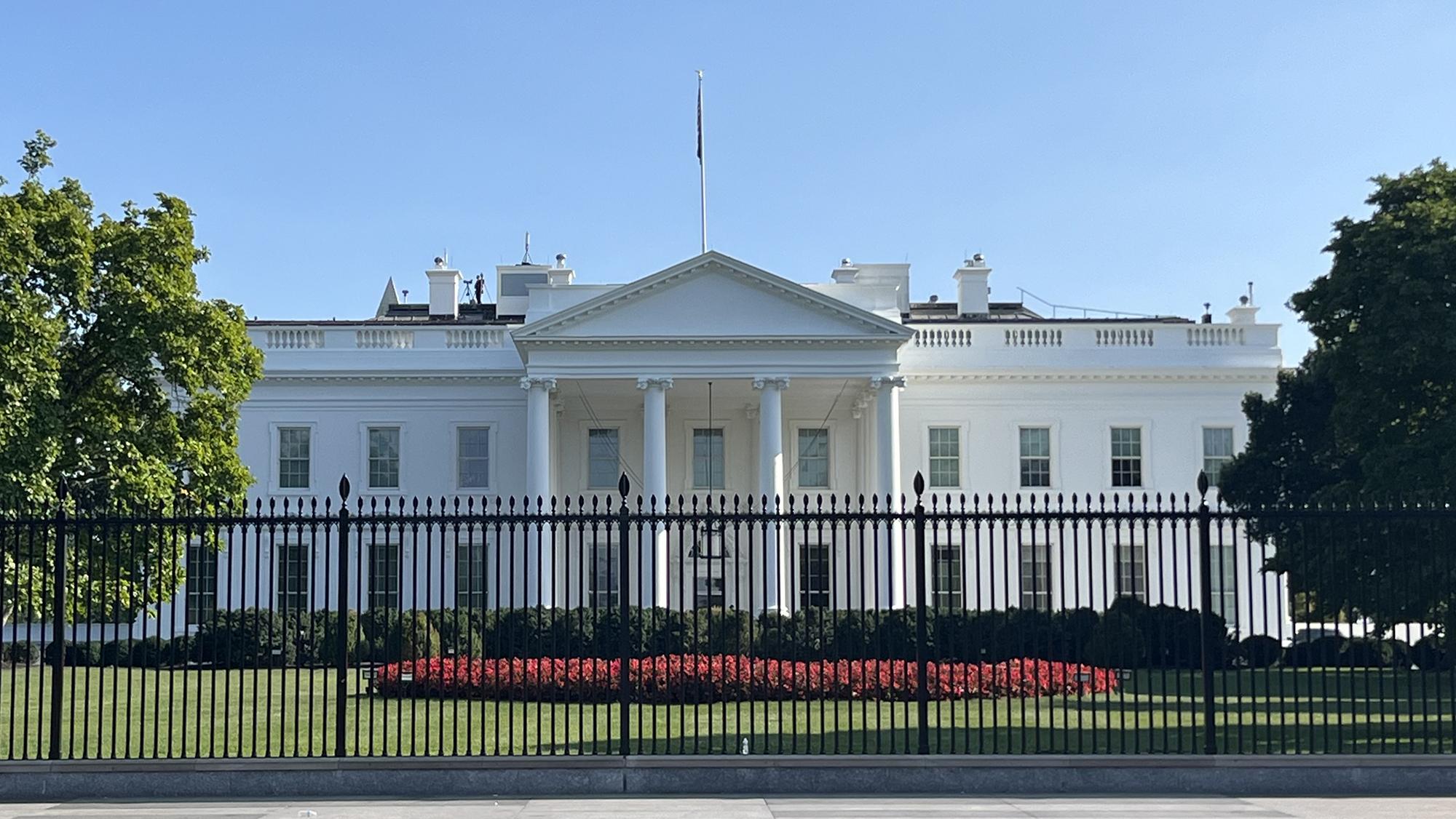 Marijuana Reform in Clearwater: The Local Reality Behind the Statewide Fight